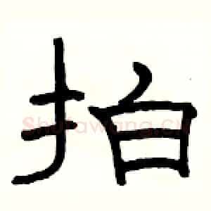 拍