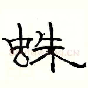 蛛