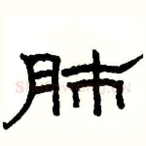 肺