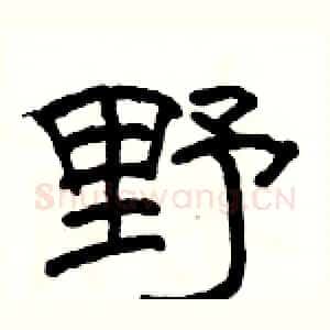 野