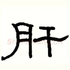 肝