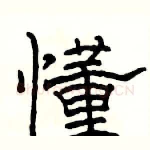 懂