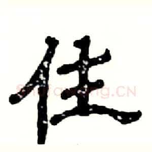 住