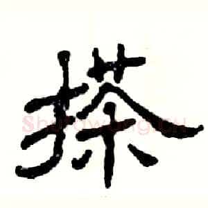 搽