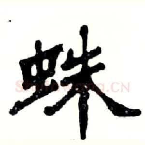 蛛