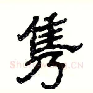 隽