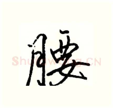 腰硬笔行书写法,摘自骆恒光硬笔书法字帖