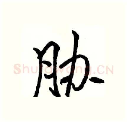 胁硬笔行书写法,摘自骆恒光硬笔书法字帖