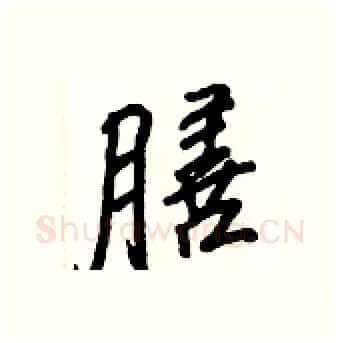 膳硬笔行书写法,摘自王正良硬笔书法字帖