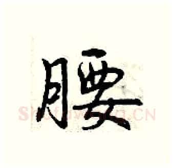 腰硬笔行书写法,摘自曾庆福硬笔书法字帖