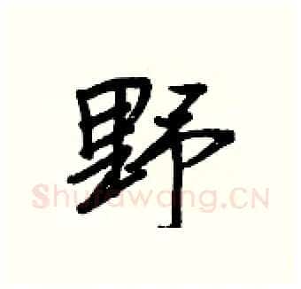 野硬笔行书写法,摘自王正良硬笔书法字帖