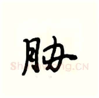 胁硬笔行书写法,摘自段相林硬笔书法字帖