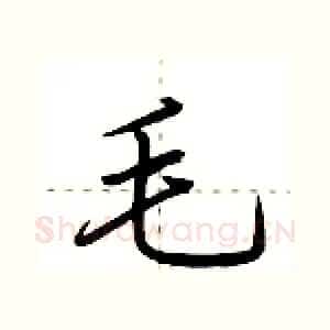 毛