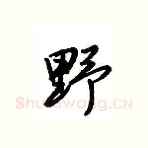 野