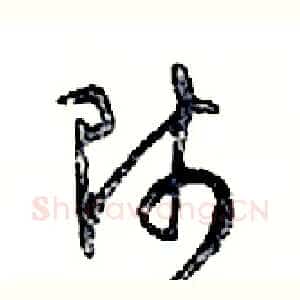 師