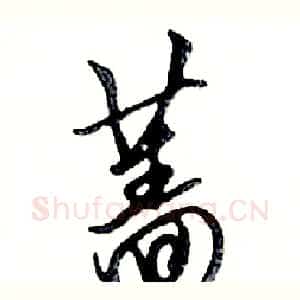 蔷