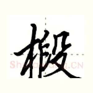 椴