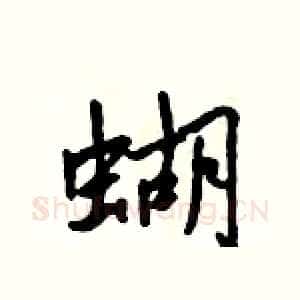 蝴