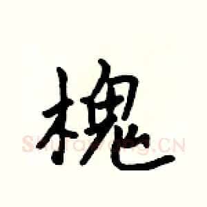 槐