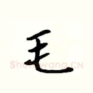 毛