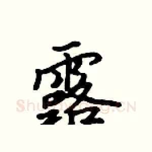 露