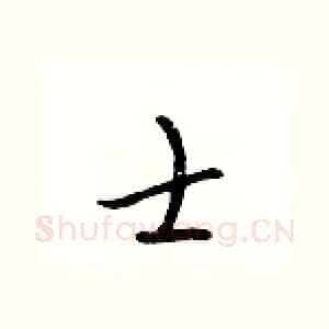 士