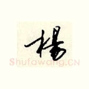 杨