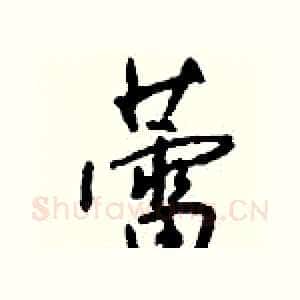 蕾