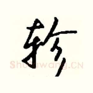 轸