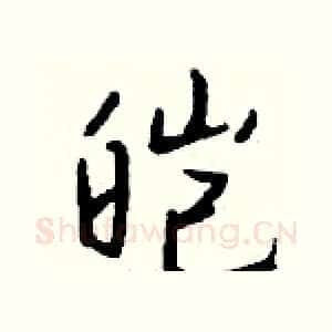 皑
