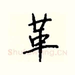 革