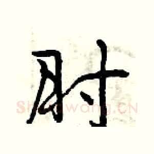 肘