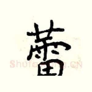 蕾