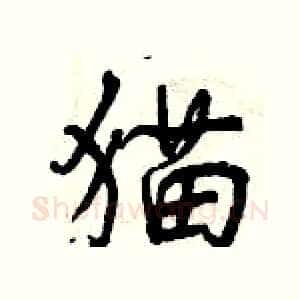 猫