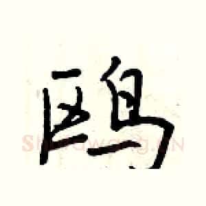 鸥