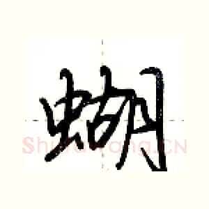 蝴