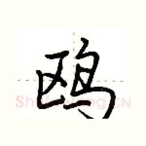 鸥
