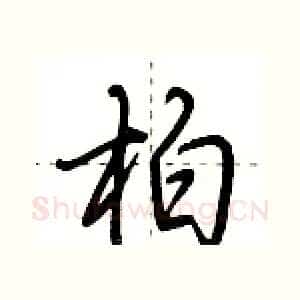 柏