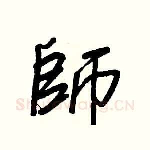師