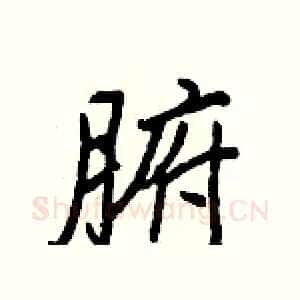 腑