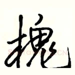 槐