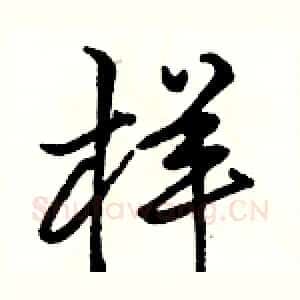 样