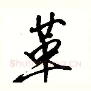 革