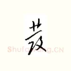 发