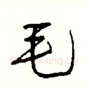 毛