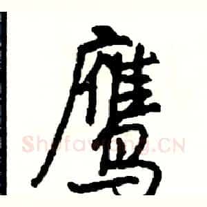 鹰