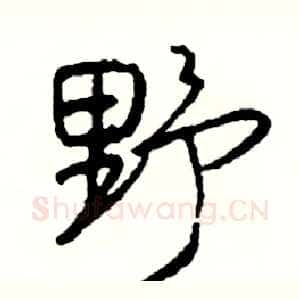 野