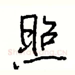 照