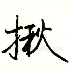 揪