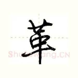革